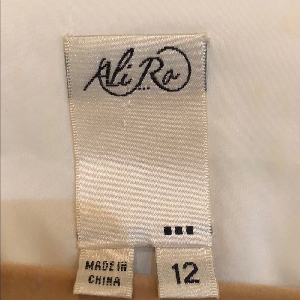 ALI RA DRESS - Picture 4 of 5
